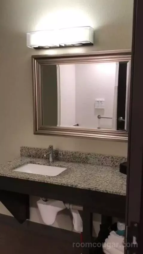 Queen Suite with Two Queen Beds and Bath Tub - Disability Access (#411) bathroom picture #5