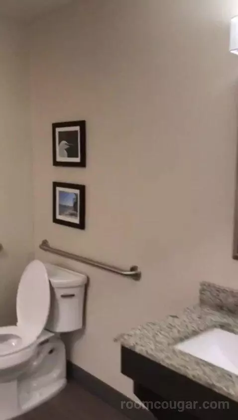 Queen Suite with Two Queen Beds and Bath Tub - Disability Access (#411) bathroom picture #7