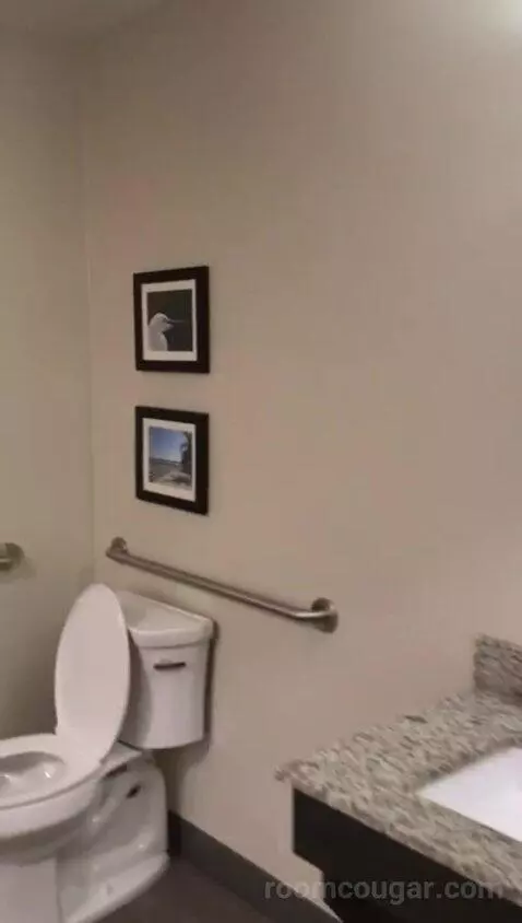 Queen Suite with Two Queen Beds and Bath Tub - Disability Access (#411) bathroom picture #8