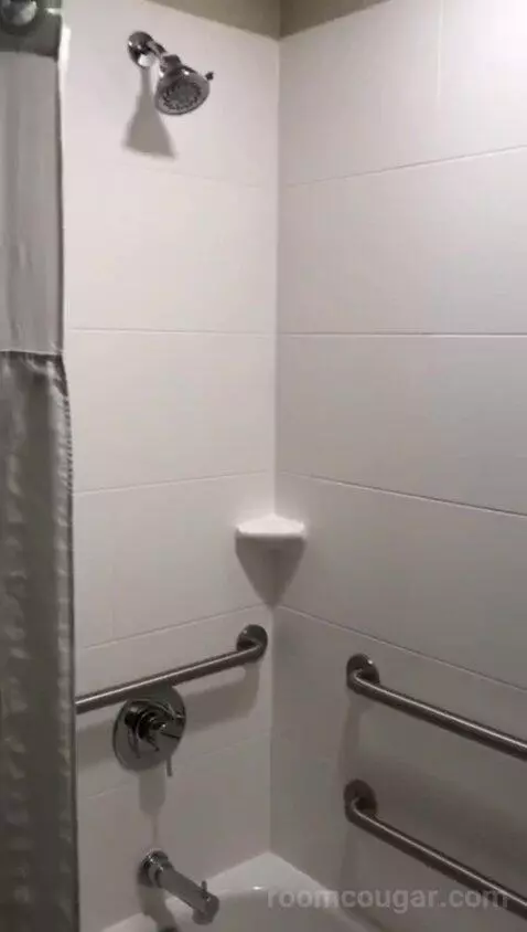 Queen Suite with Two Queen Beds and Bath Tub - Disability Access (#411) bathroom picture #12