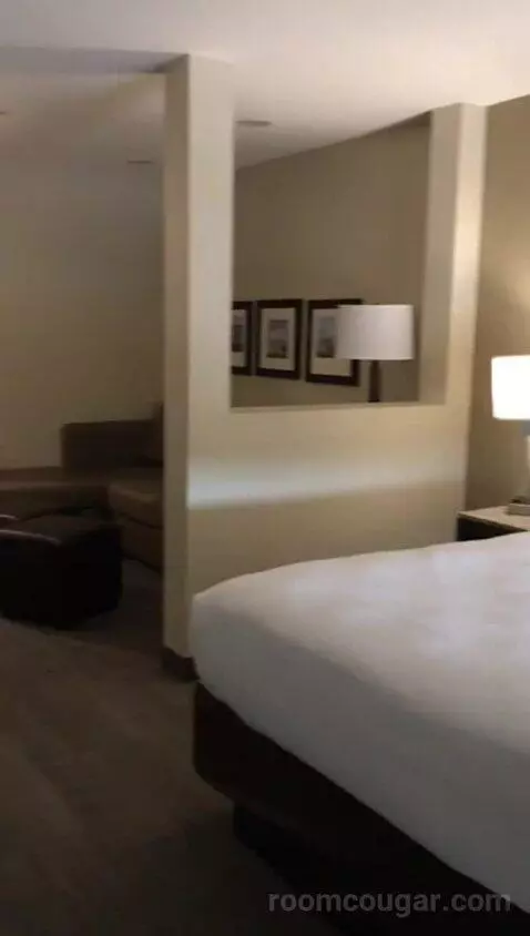 King Suite with Sofa Bed and Balcony (#419) bed picture #6