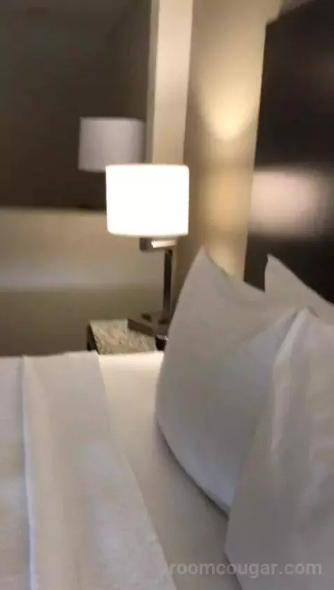 King Suite with Sofa Bed and Balcony (#419) bed picture #9