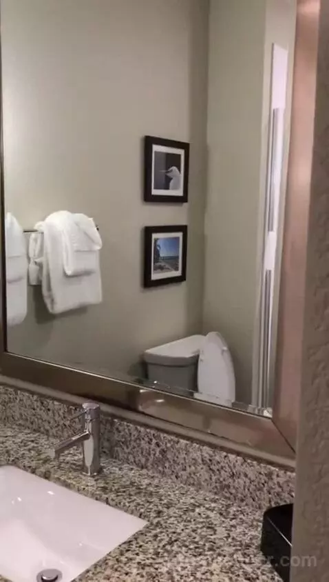 King Suite with Sofa Bed and Balcony (#419) bathroom picture #4