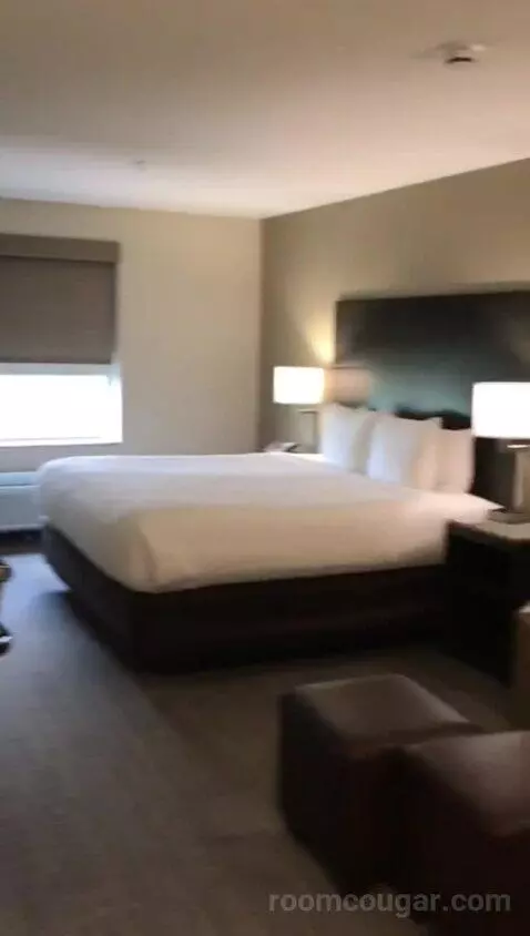 King Room (#420) bed picture #1