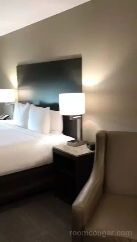 King Room (#420) bed picture #3
