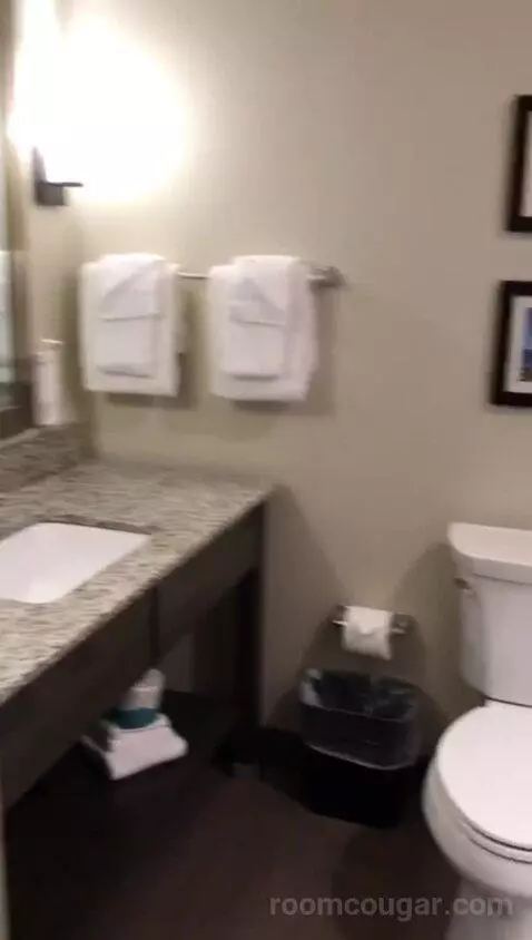 King Room (#420) bathroom picture #2
