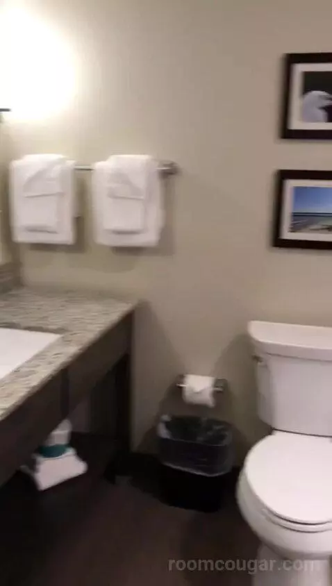 King Room (#420) bathroom picture #3