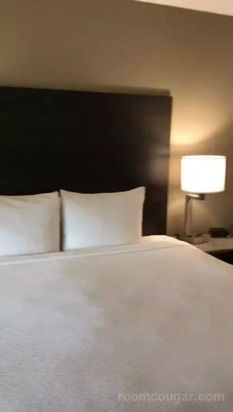 King Room (#420) bed picture #10