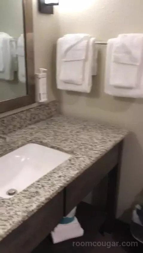 King Room (#420) bathroom picture #5