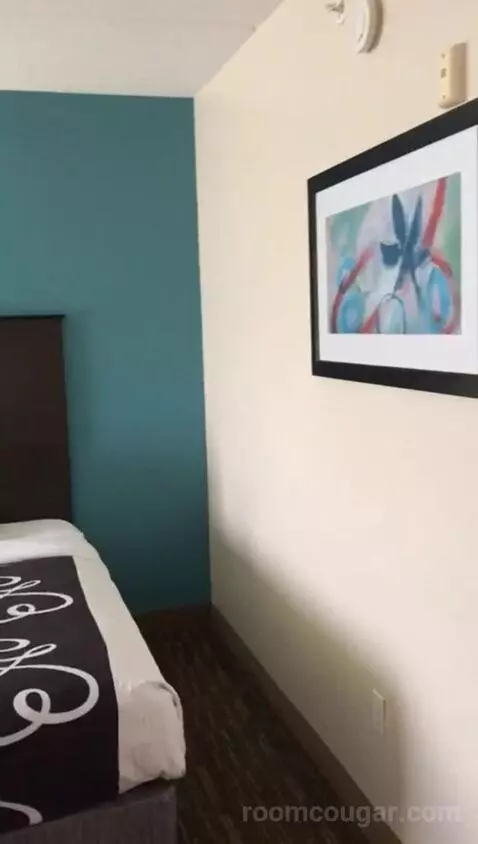 Queen Suite with Two Queen Beds (#309) bed picture #1