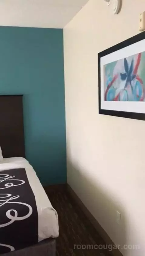 Queen Suite with Two Queen Beds (#309) bed picture #2