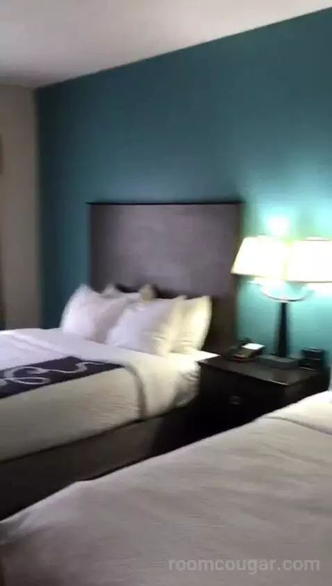 Queen Suite with Two Queen Beds (#309) bed picture #3