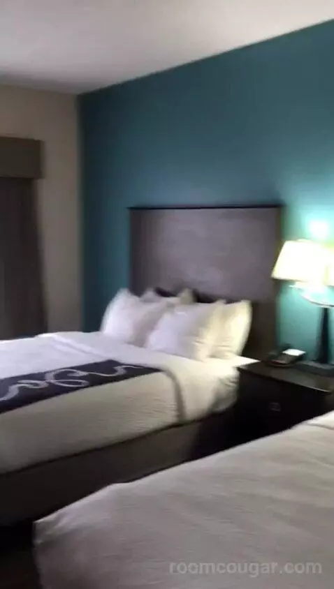 Queen Suite with Two Queen Beds (#309) bed picture #4