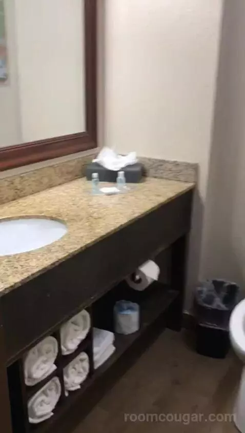 Queen Suite with Two Queen Beds (#309) bathroom picture #4