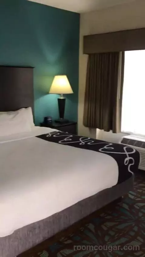 King Suite with Whirlpool (#401) bed picture #6