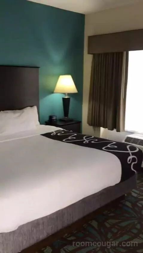 King Suite with Whirlpool (#401) bed picture #7