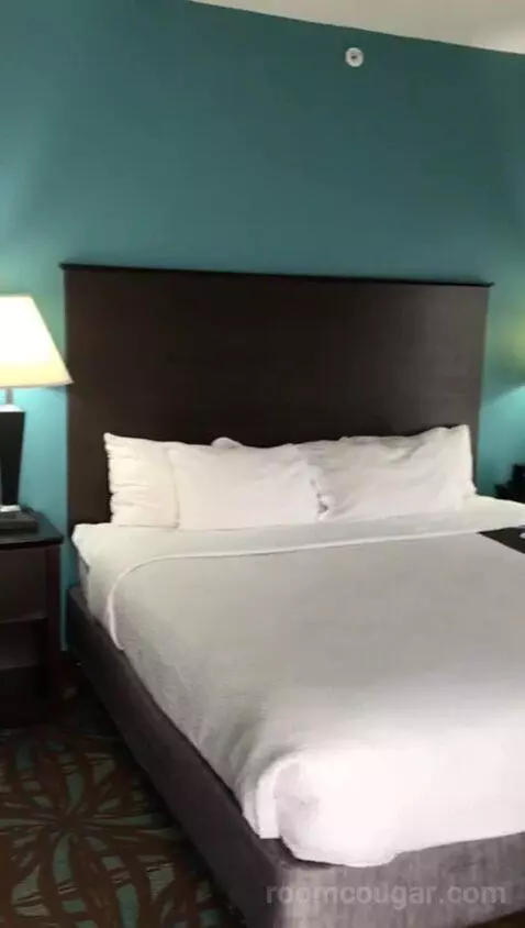 King Suite with Whirlpool (#401) bed picture #9
