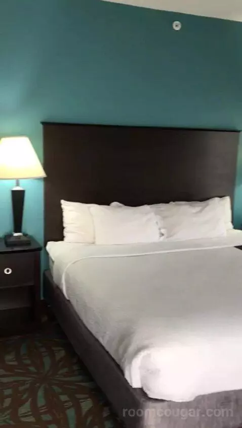 King Suite with Whirlpool (#401) bed picture #10