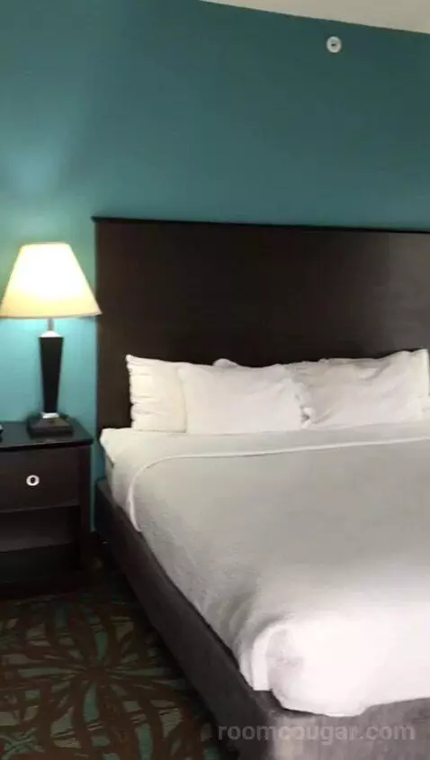 King Suite with Whirlpool (#401) bed picture #11