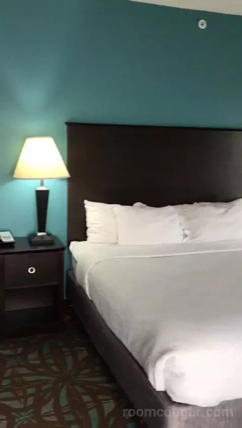 King Suite with Whirlpool (#401) bed picture #12