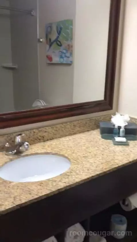 King Suite with Whirlpool (#401) bathroom picture #4