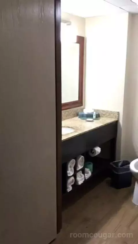 Standard Queen Room with Two Queen Beds (#417) bathroom picture #1