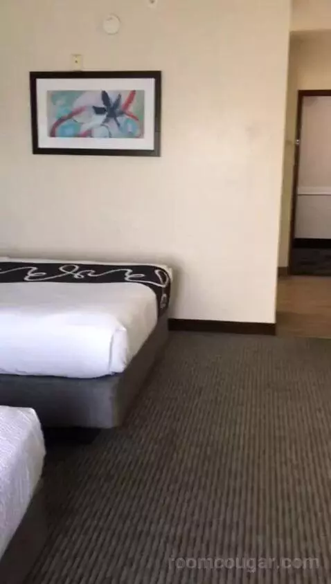 Standard Queen Room with Two Queen Beds (#417) bed picture #7