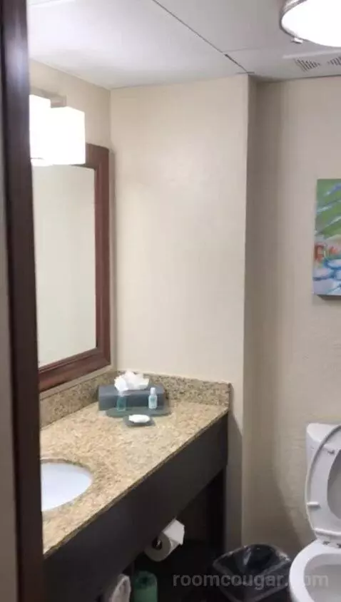 Standard Queen Room with Two Queen Beds (#417) bathroom picture #2