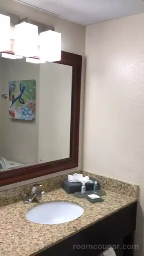 King Suite with Whirlpool and Sofa Bed (#418) bathroom picture #11