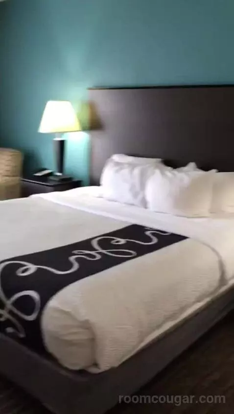 King Suite with Whirlpool and Sofa Bed (#418) bed picture #5