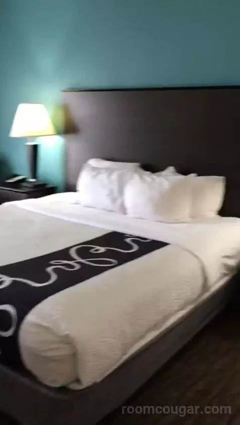 King Suite with Whirlpool and Sofa Bed (#418) bed picture #6