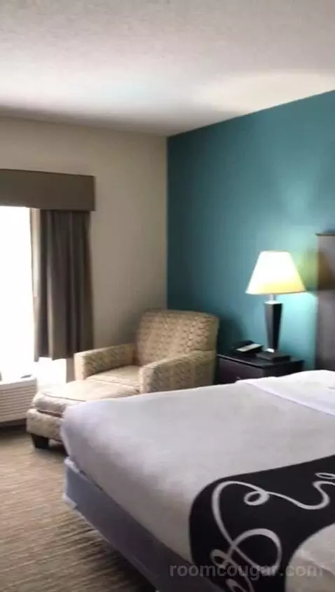 King Suite with Whirlpool and Sofa Bed (#418) bed picture #7