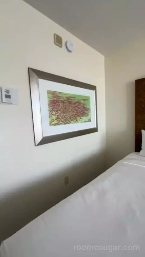 Double Room with Two Double Beds and Balcony (#1011) bed picture #4