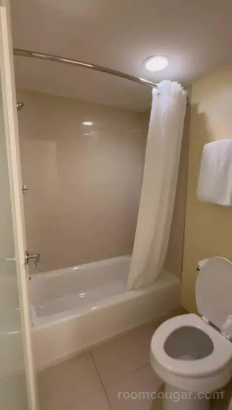 Double Room with Two Double Beds and Balcony (#1011) bathroom picture #1