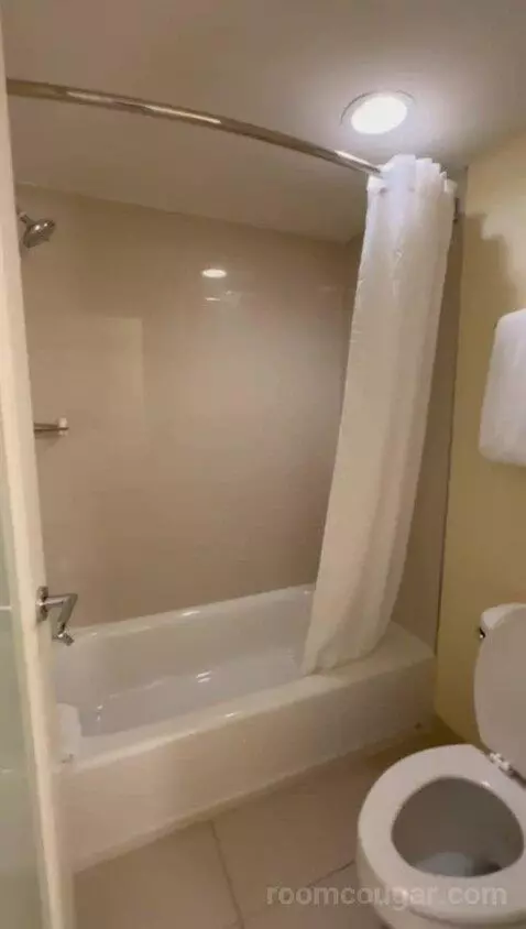 Double Room with Two Double Beds and Balcony (#1011) bathroom picture #4