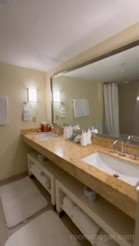 Bi-Level Suite (#1018) bathroom picture #7