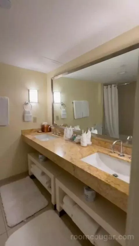 Bi-Level Suite (#1018) bathroom picture #8