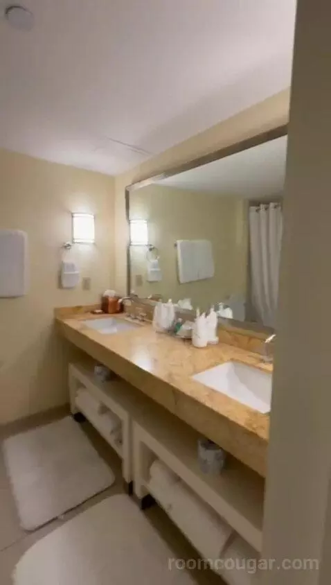 Bi-Level Suite (#1018) bathroom picture #10