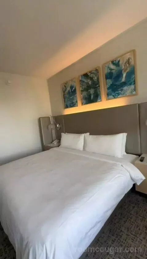 King Room with Sofa Bed - City View bed picture #5