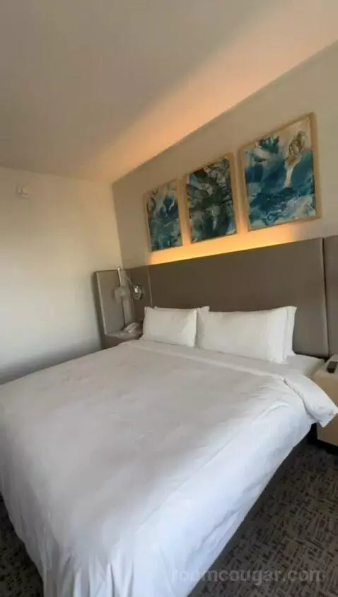 King Room with Sofa Bed - City View bed picture #6