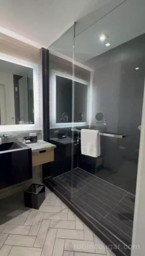 King Room with Sofa Bed - City View bathroom picture #6