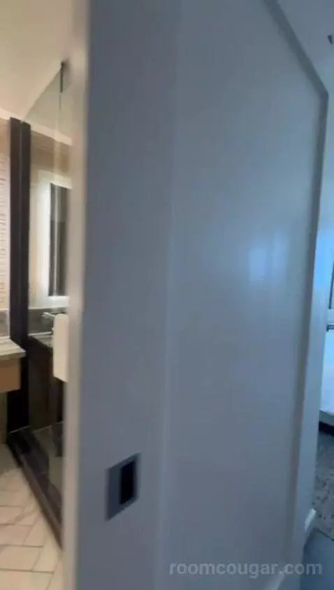 King Room with Sofa Bed - City View bathroom picture #8