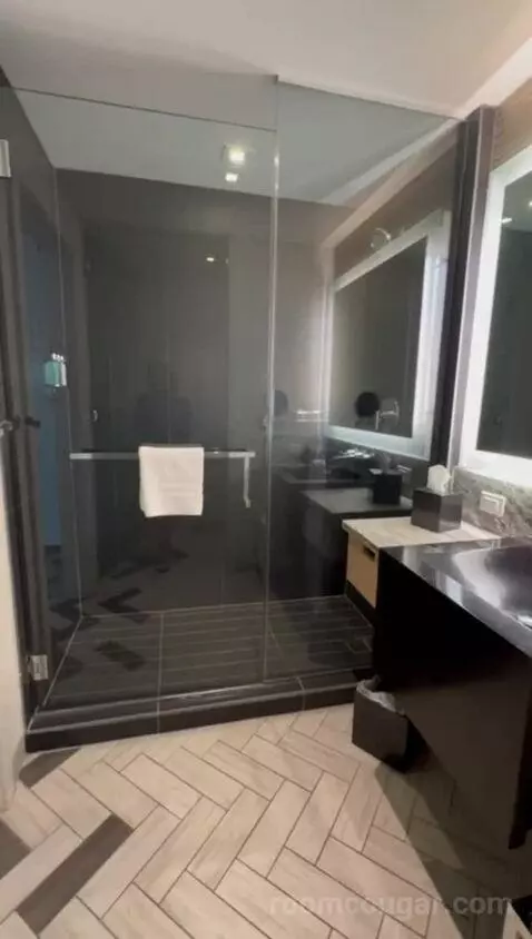 Queen Room with Two Queen Beds - City View bathroom picture #9