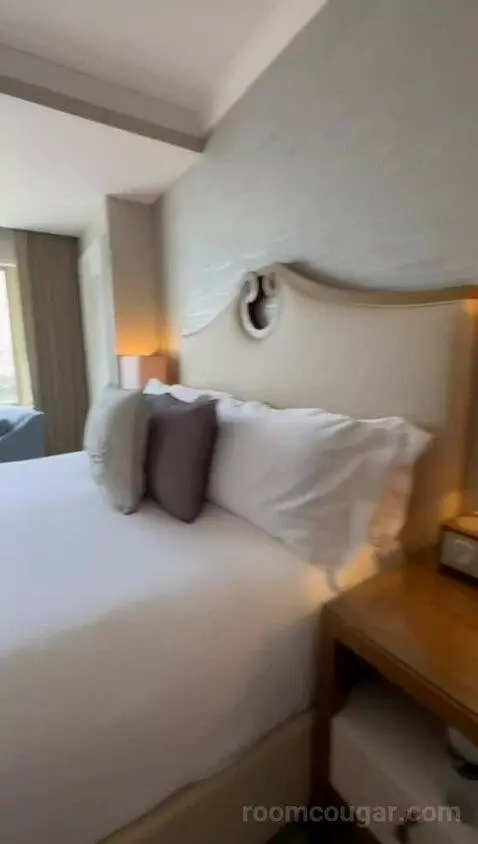 Standard View Suite, 1 Bedroom Suite, 1 King, Sofa Bed (#937) bed picture #3