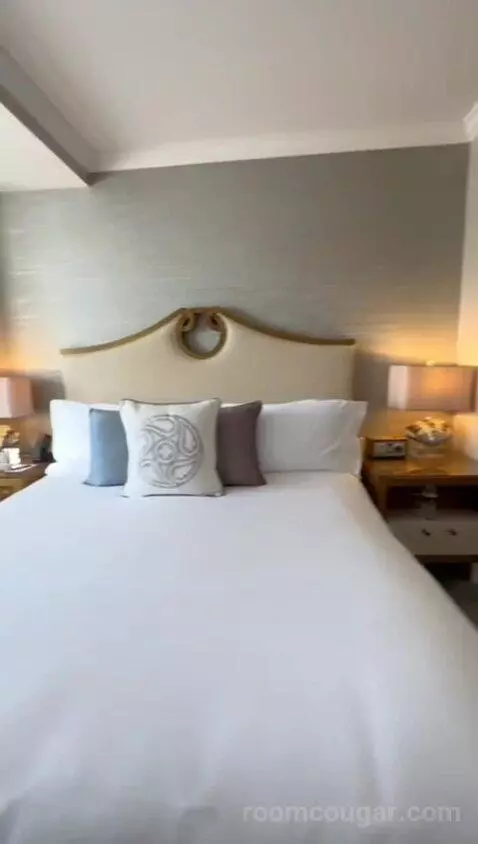 Standard View Suite, 1 Bedroom Suite, 1 King, Sofa Bed (#937) bed picture #5
