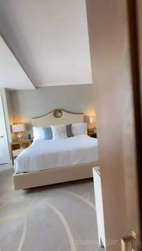 Standard View Suite, 1 Bedroom Suite, 1 King, Sofa Bed (#937) bed picture #2
