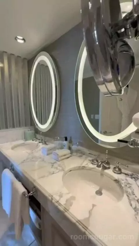 Standard View Suite, 1 Bedroom Suite, 1 King, Sofa Bed (#937) bathroom picture #4