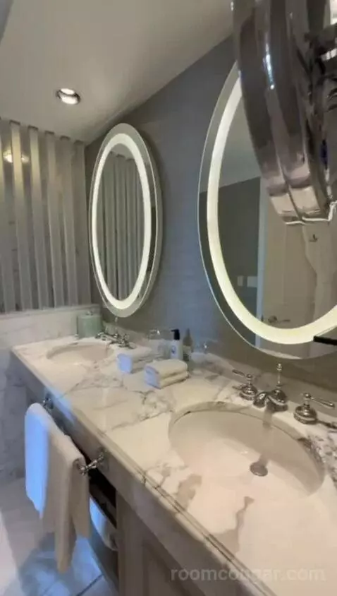 Standard View Suite, 1 Bedroom Suite, 1 King, Sofa Bed (#937) bathroom picture #6
