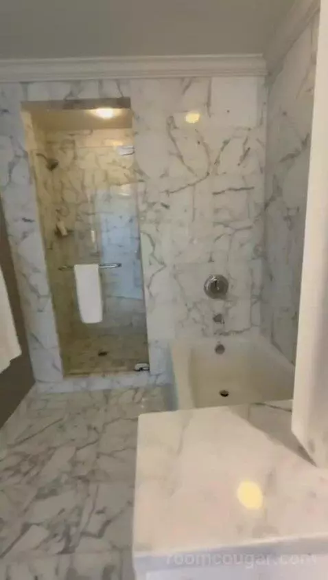 Standard View Suite, 1 Bedroom Suite, 1 King, Sofa Bed (#937) bathroom picture #7