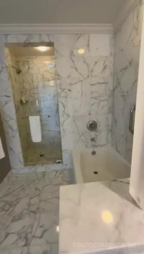 Standard View Suite, 1 Bedroom Suite, 1 King, Sofa Bed (#937) bathroom picture #8
